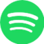 Spotify icon